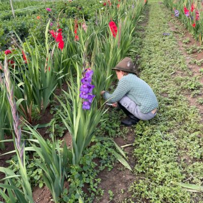 Lindas Abenteuerwerkstatt_34 Lindas Abenteuerwerkstatt_34