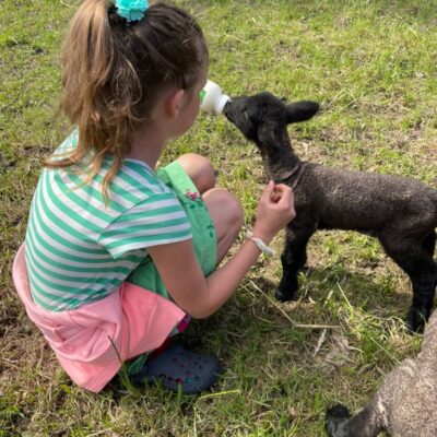 Lindas Abenteuerwerkstatt_65 Lindas Abenteuerwerkstatt_65