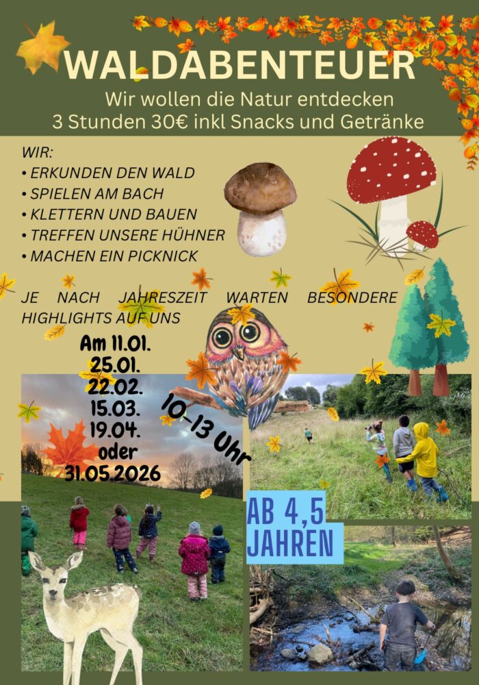Waldabenteuer Waldabenteuer